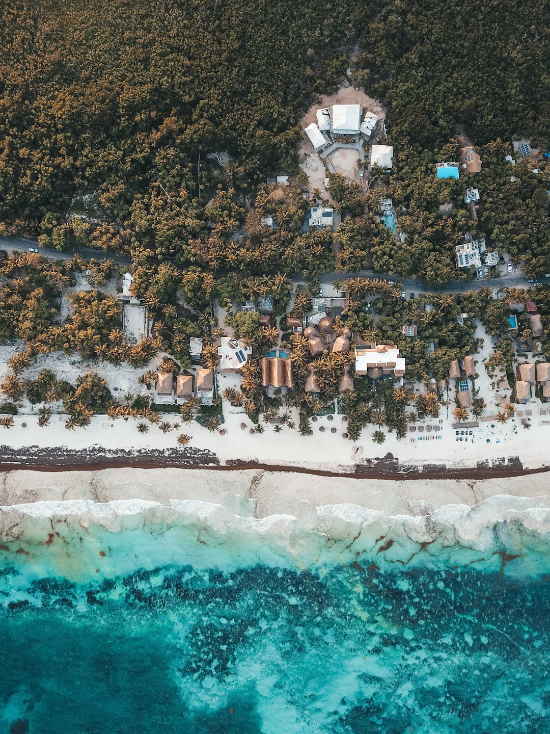 Edificios de un resort tropical en un bosque junto a la playa.